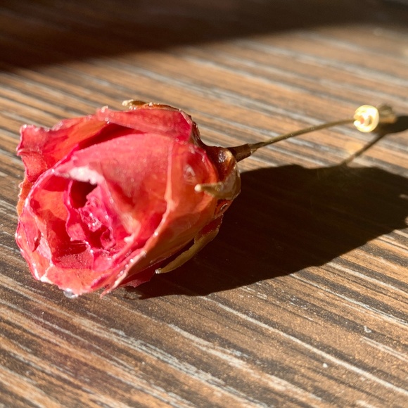 🌹Vintage Natural Preserved Rose Flower Stick Pin Brooch - Gorgeous🌹 - Picture 1 of 10